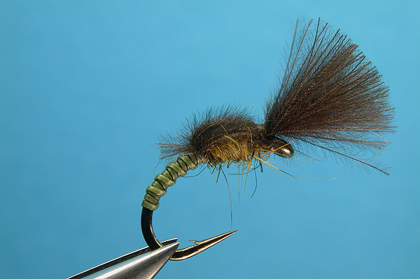 CDC Emerger (BWO)