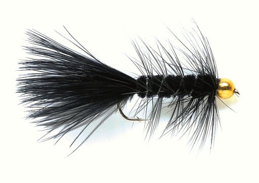 Black Woolly Bugger