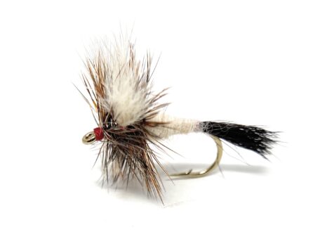 Ausable Wulff