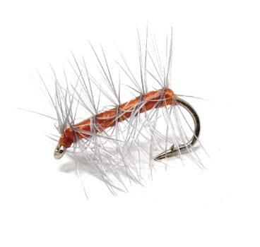 Asher Fly