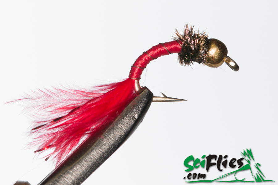 Bloodworm (Chironomid)