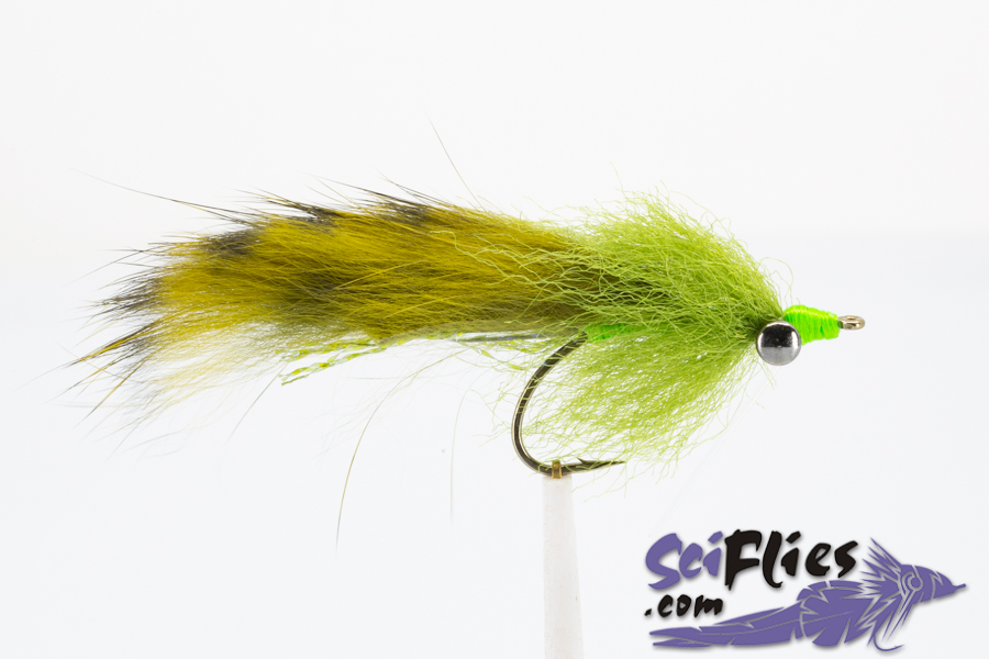 Largie Brush Fly