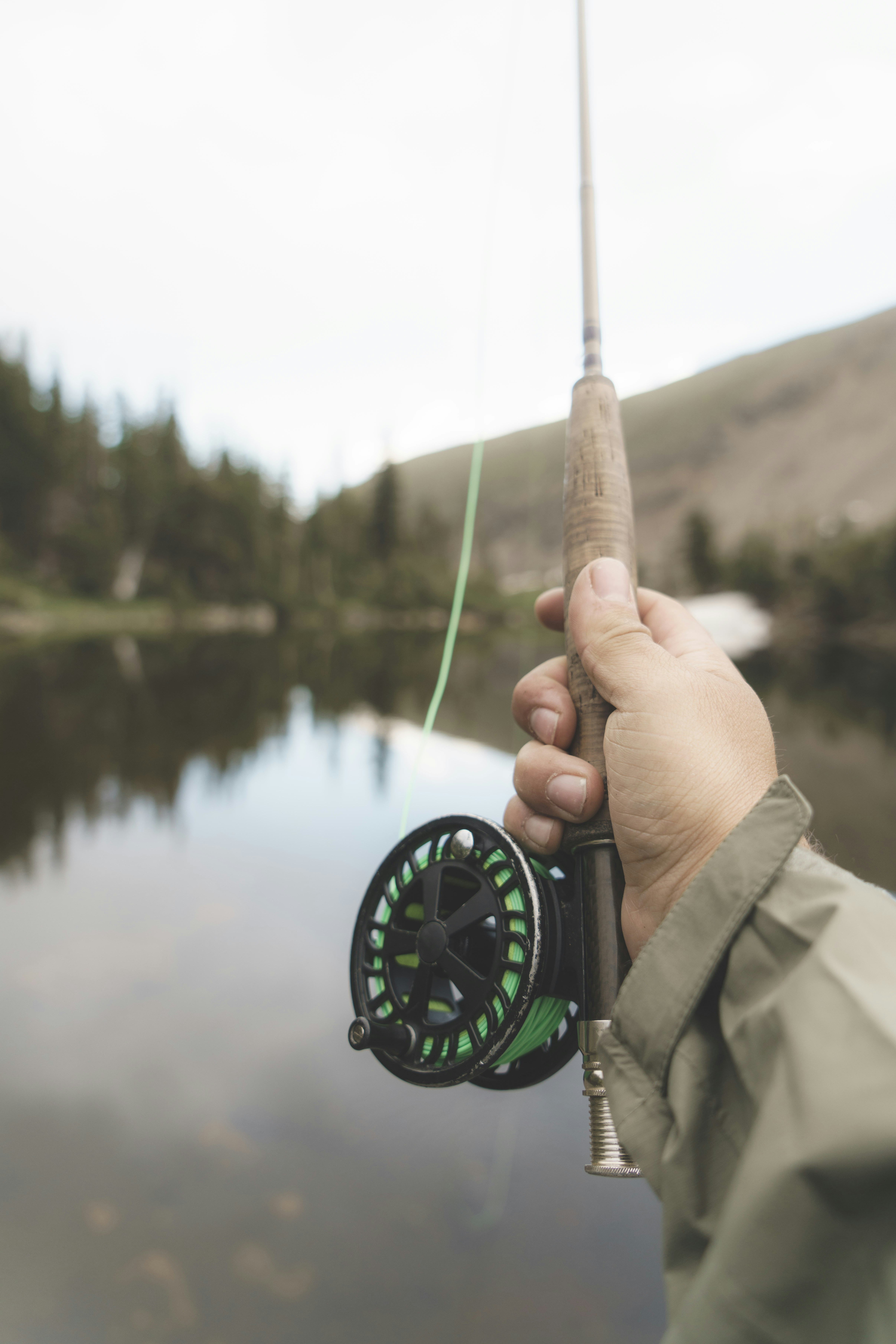 Fly Line 101: Choosing the Right Line for Beginner Fly Anglers
