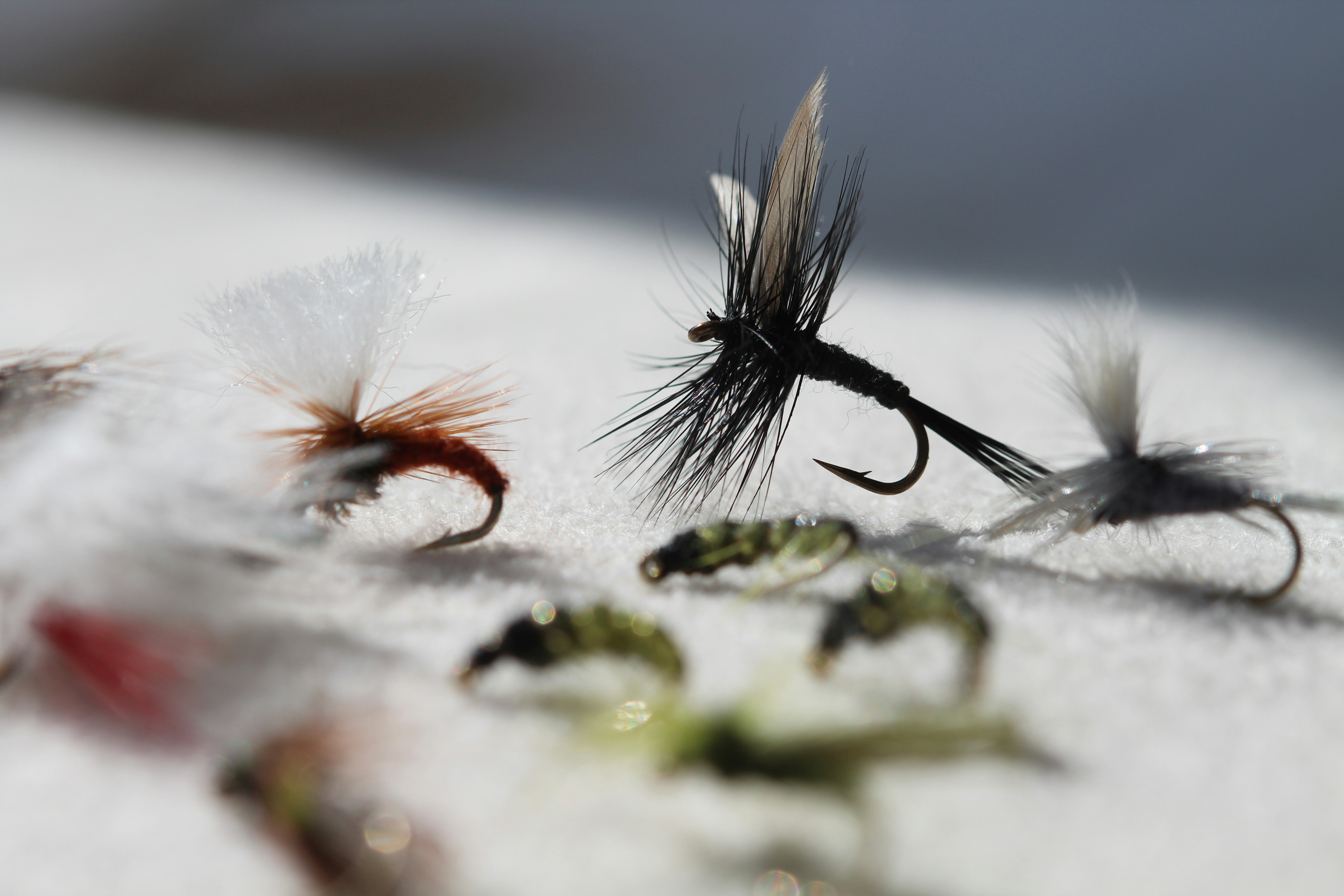 Fly selection for trout