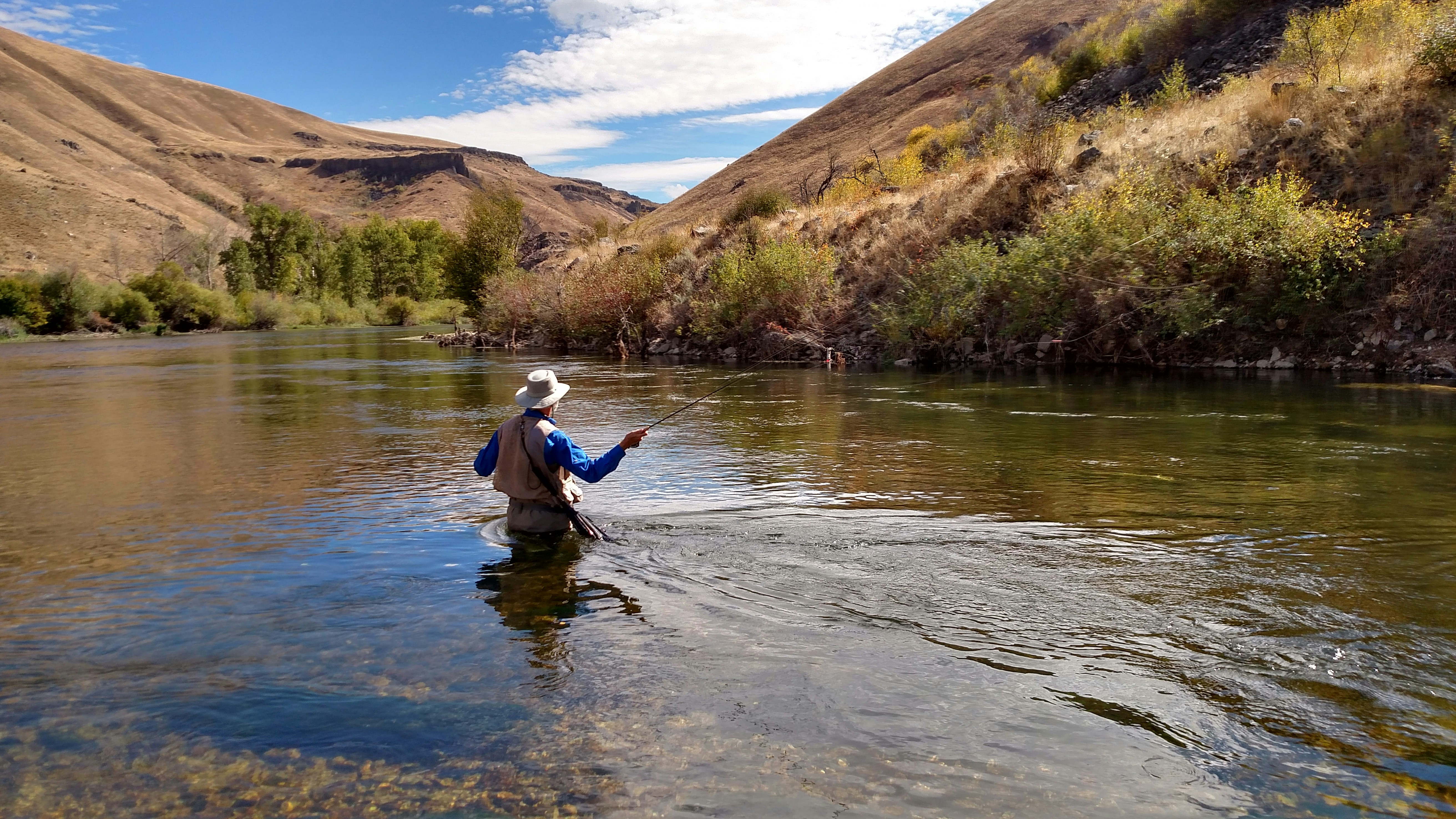 Mastering Fly Fishing Techniques: The Complete 2026 Guide