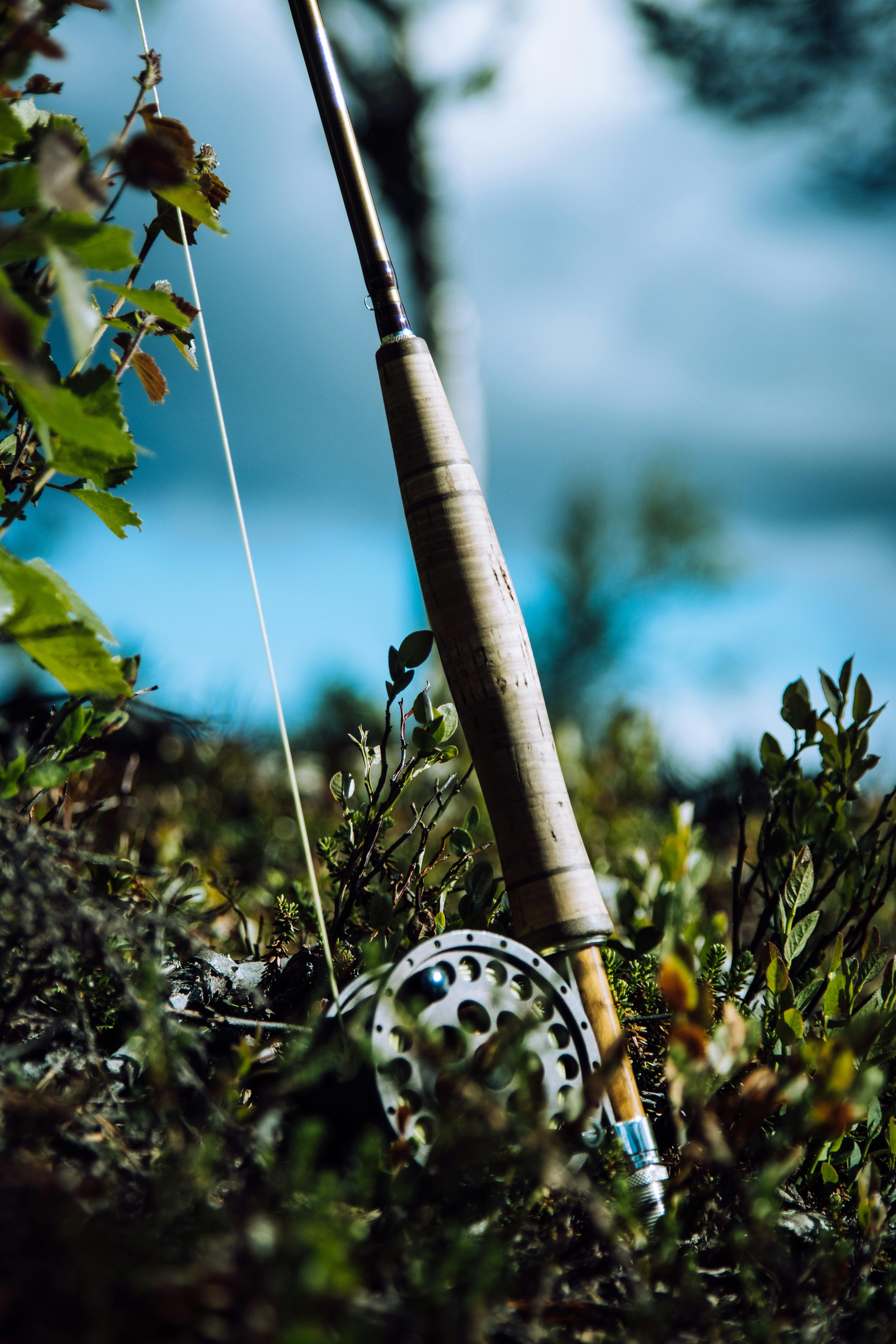 Fly fishing rod