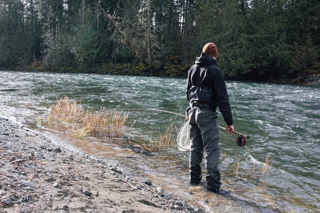 Fly fisherman reading a river from the bank before casting