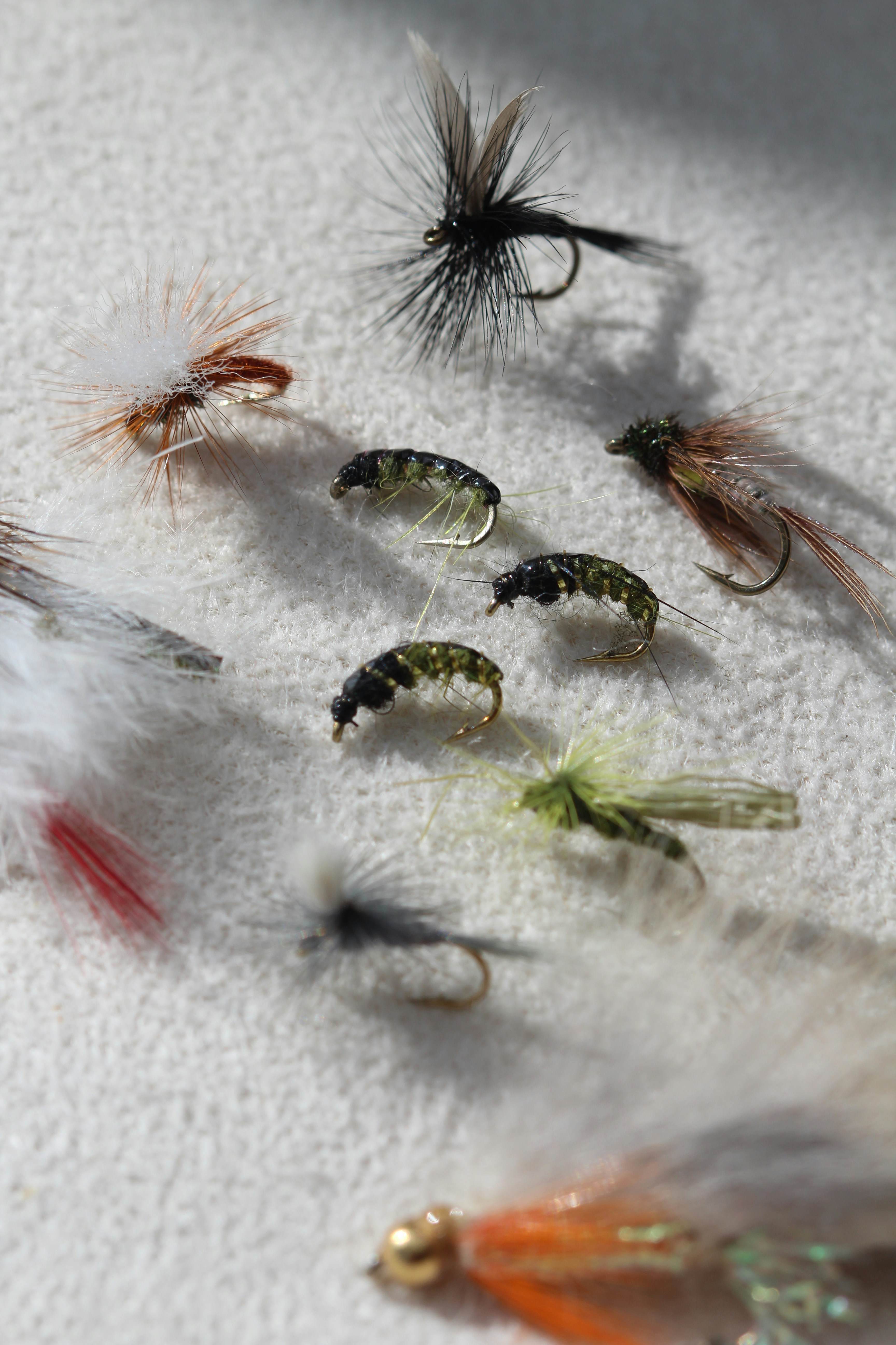 Fly Tying for Beginners: Getting Started