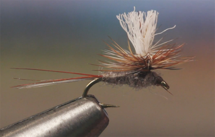 How to Tie the Parachute Adams: The Complete Guide (All Variants)