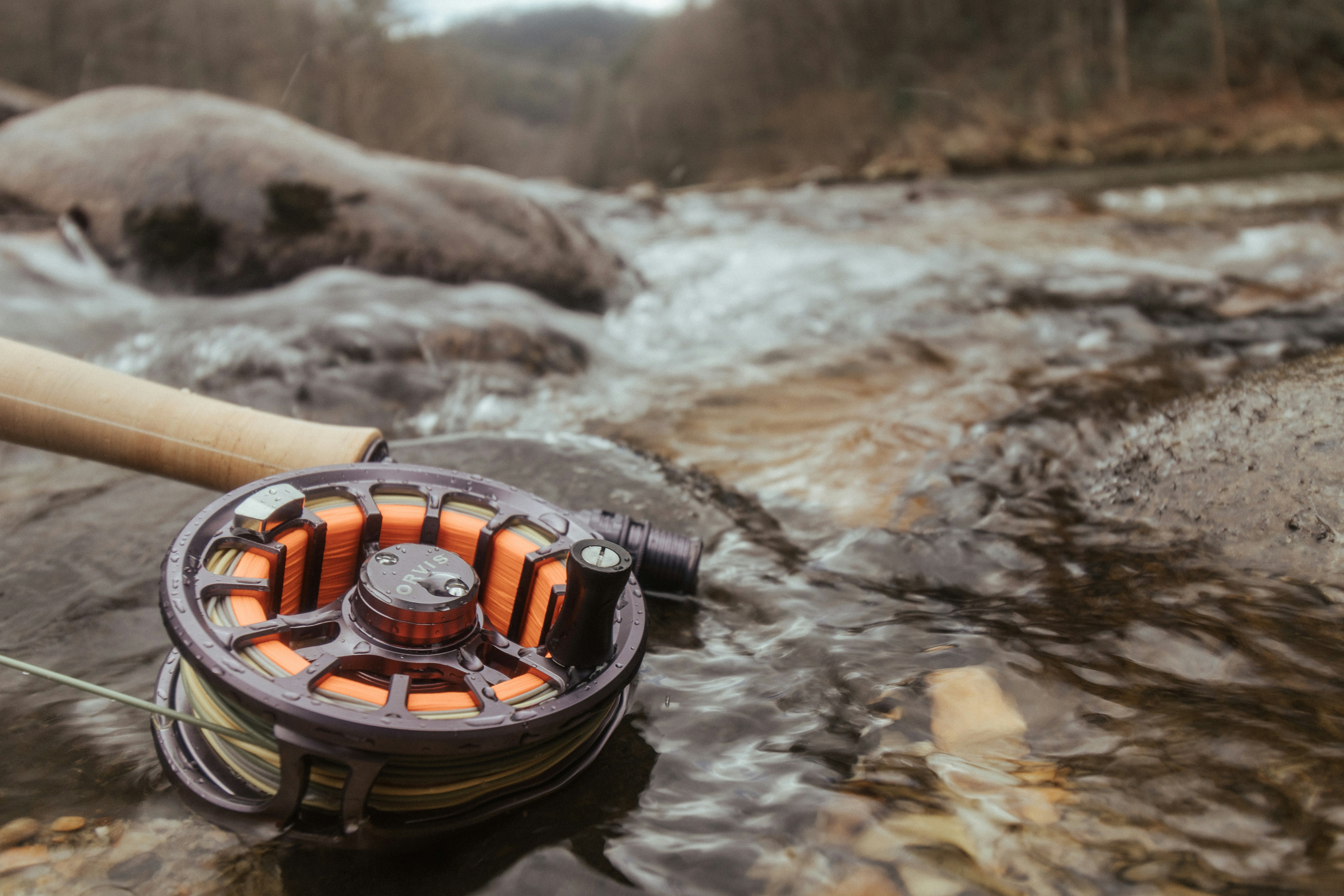 How to Choose Your First Fly Reel: A Beginner's Guide