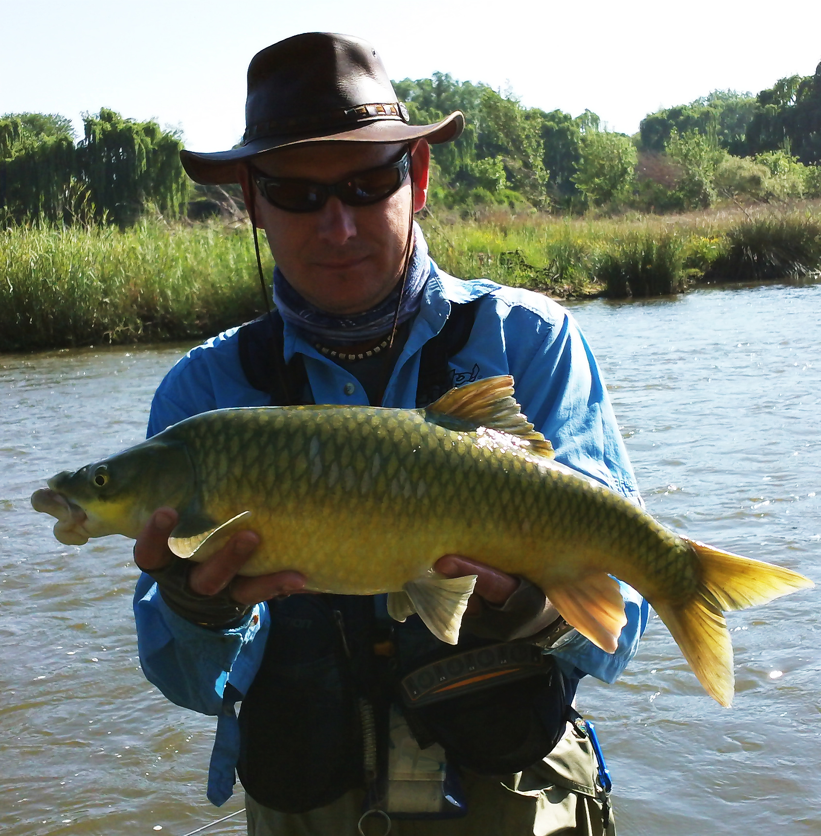 Yellowfish on the Fly: The Complete Guide