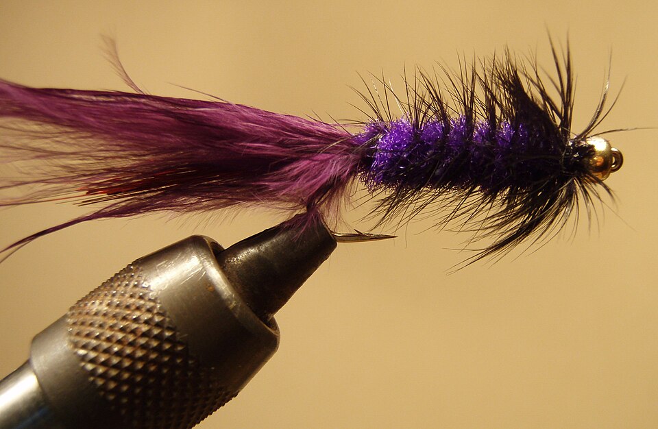 How to Tie the Woolly Bugger: The Complete Guide (All Variants)