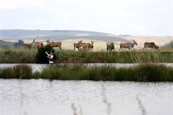 Elandskloof Trout Farm (Villiersdorp)