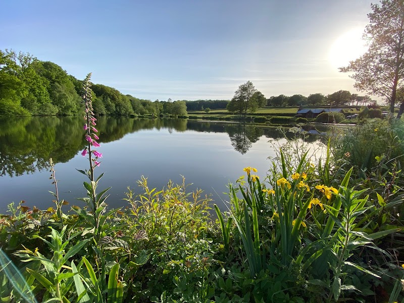 Lakedown Trout Fishery
