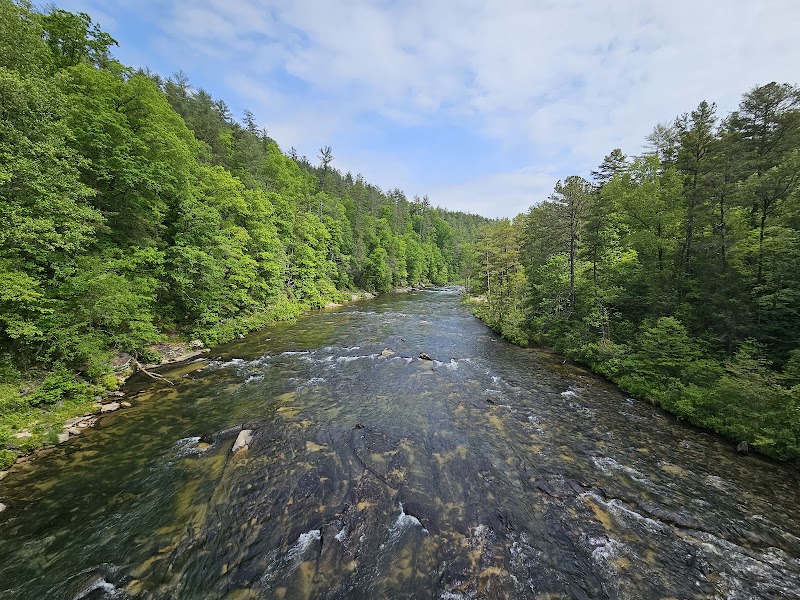 Chattooga River (Burrells Ford area)