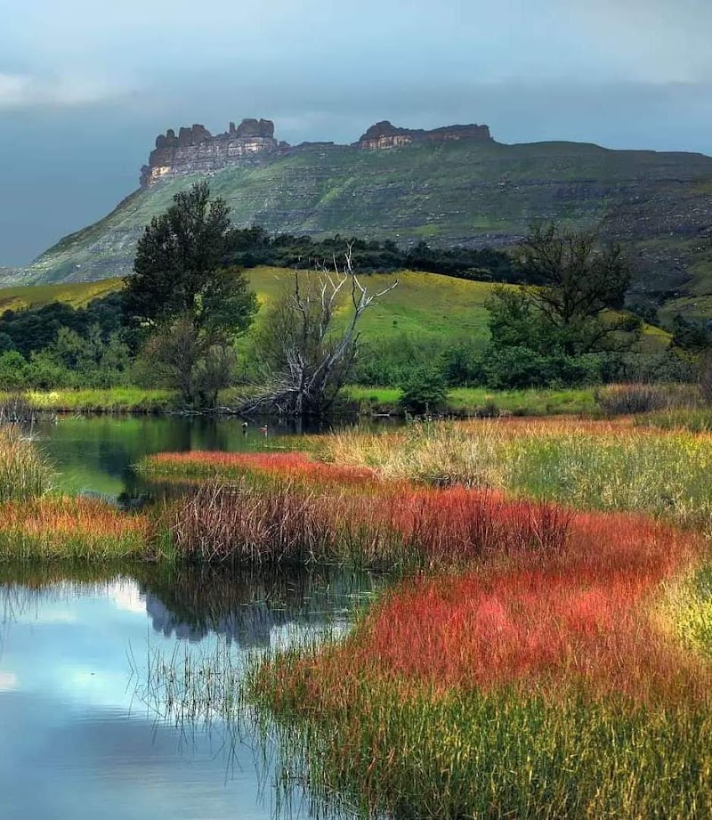 Garden Castle Streams