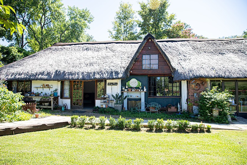 Mzimkulu River (Underberg valley)