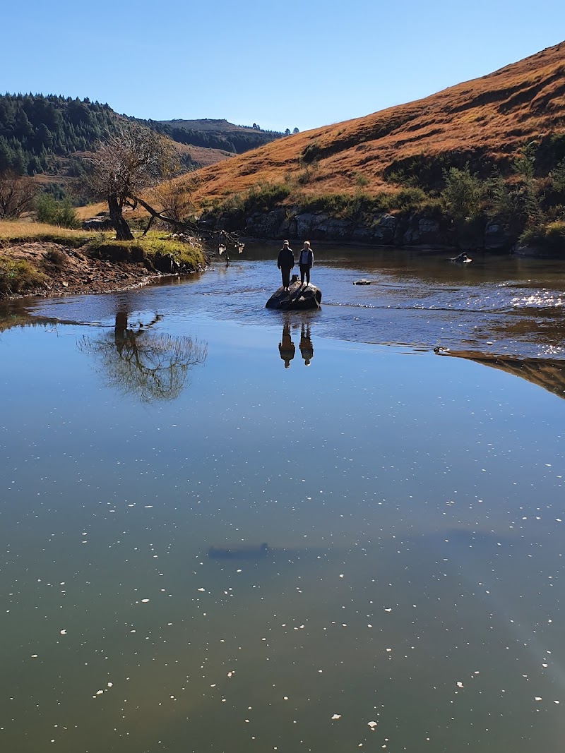 Mooi River (upper reaches & beats)