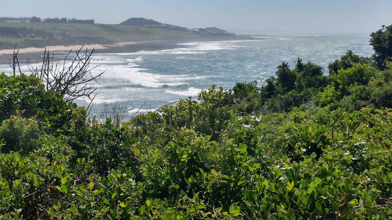 Kwelera River Estuary