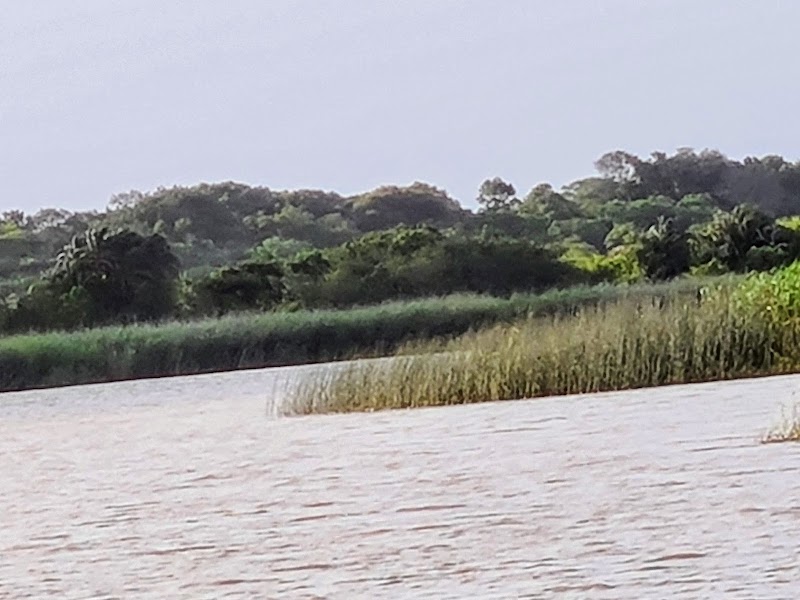 St Lucia Estuary Channels