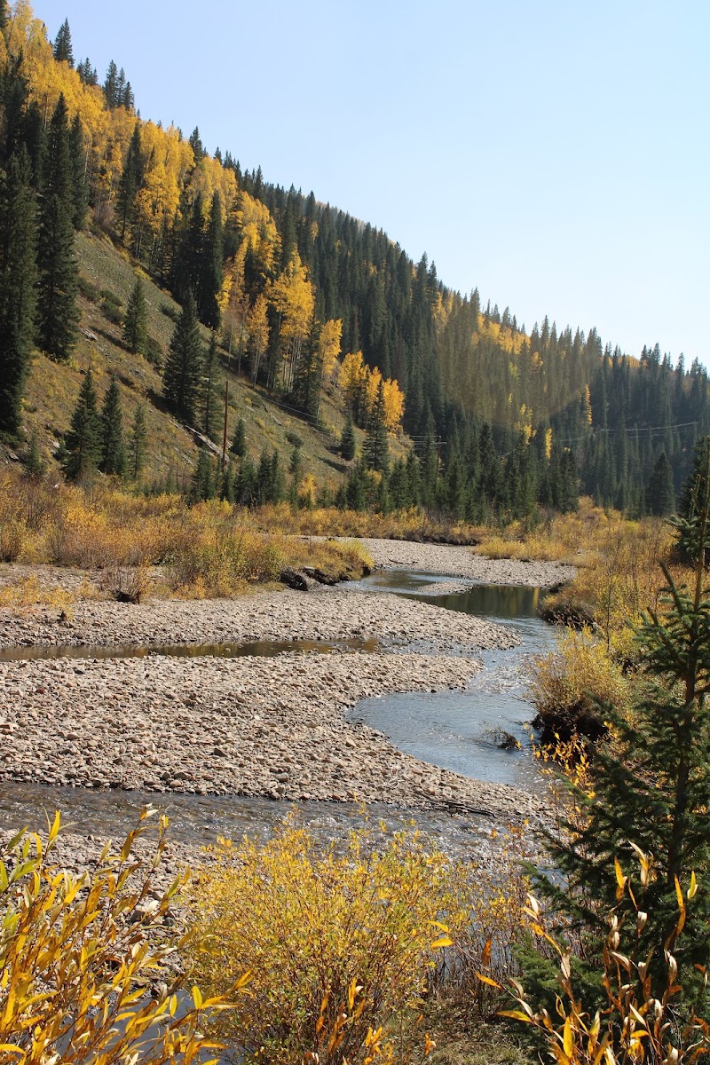 Dolores River (tailwater)