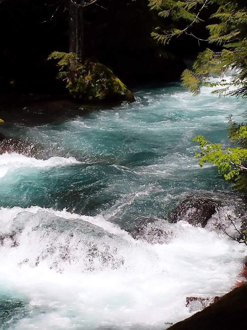 McKenzie River