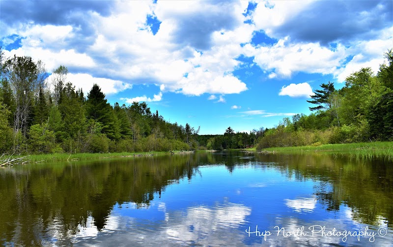 Au Sable River (Mainstream & Holy Waters)