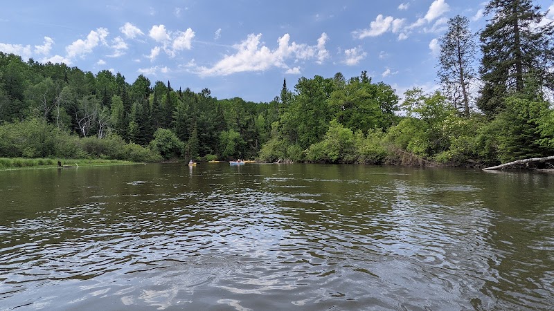 Manistee River (Upper & Below Tippy)