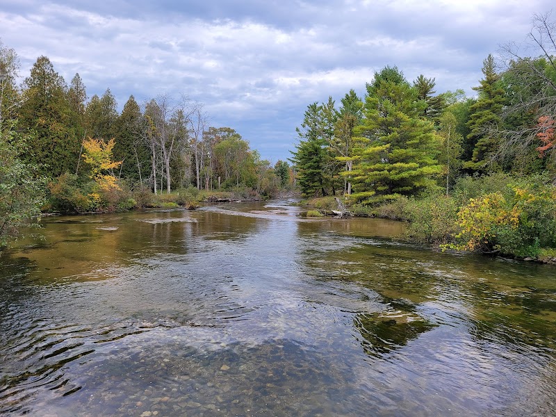 Manistee River (Upper & Below Tippy)
