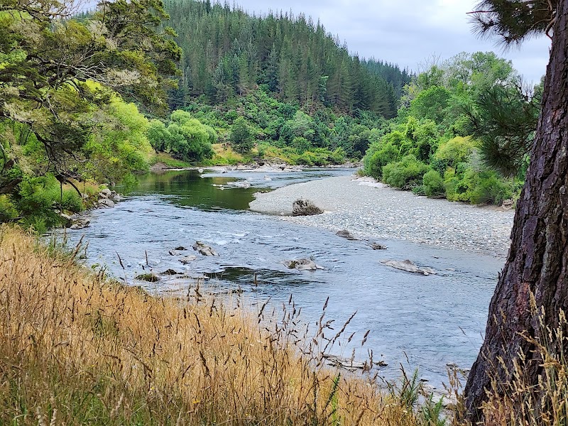 Motueka River