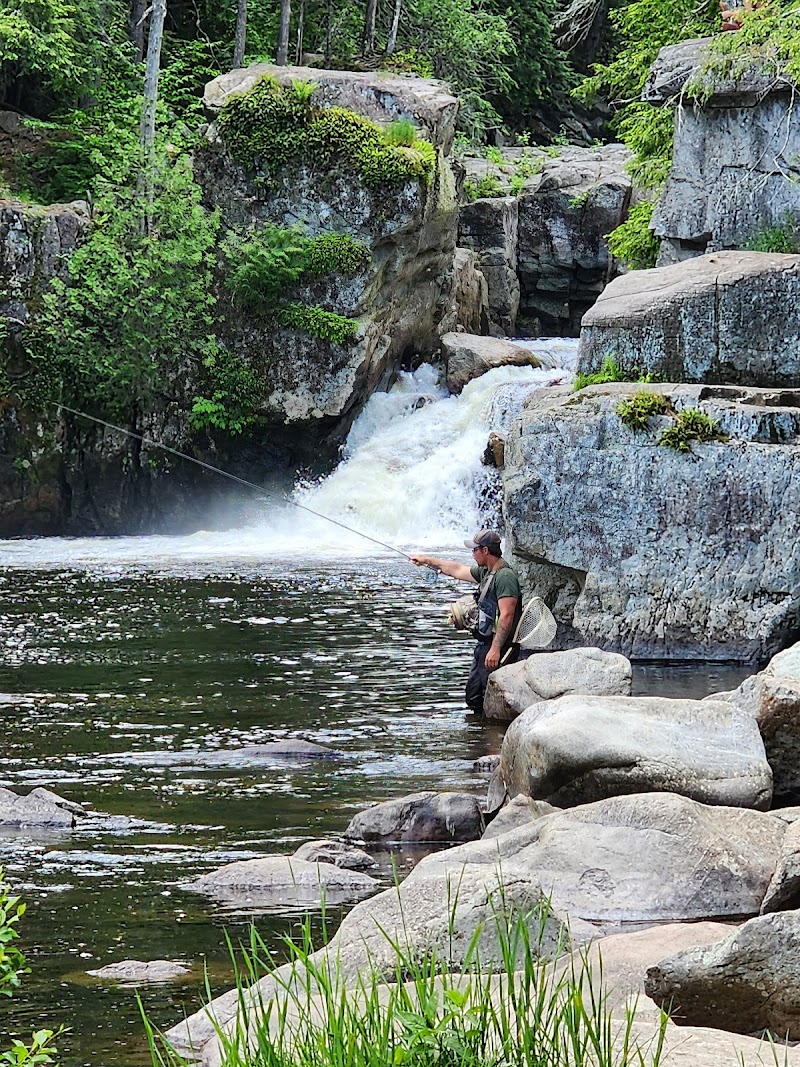 Ausable River (West Branch)